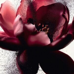 HeadSpace Rose 100 ml - Image 3