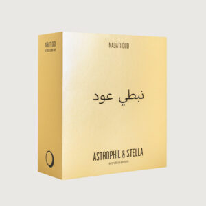 NABATI OUD extrait de parfum 50 ml - Image 2